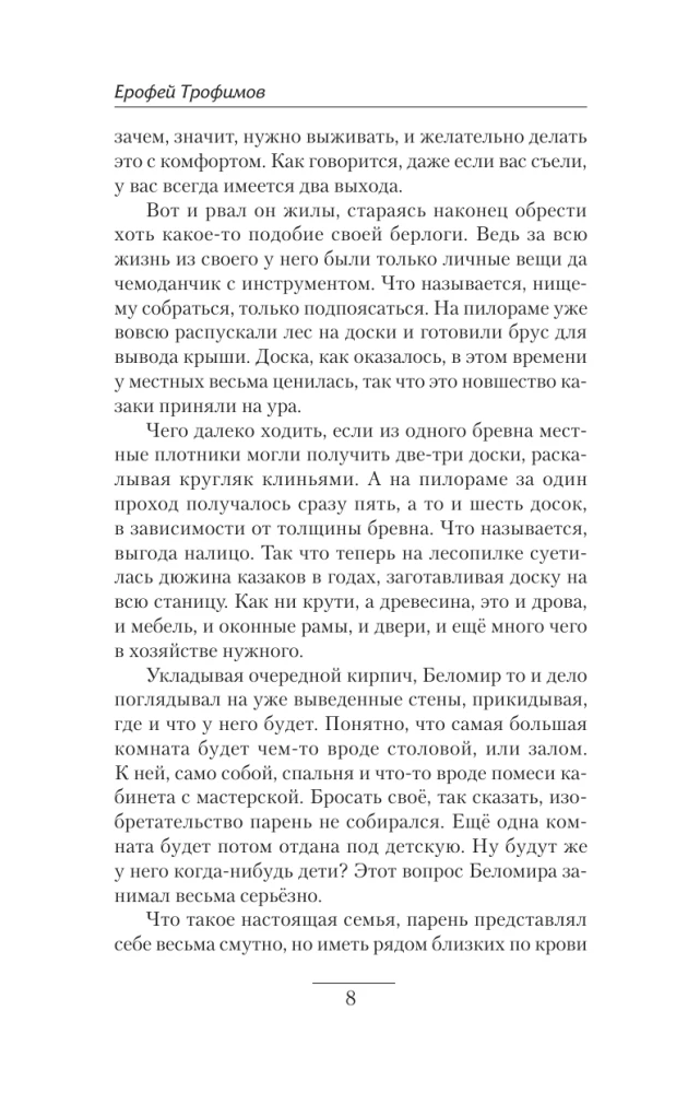 Krechet. The First Focus