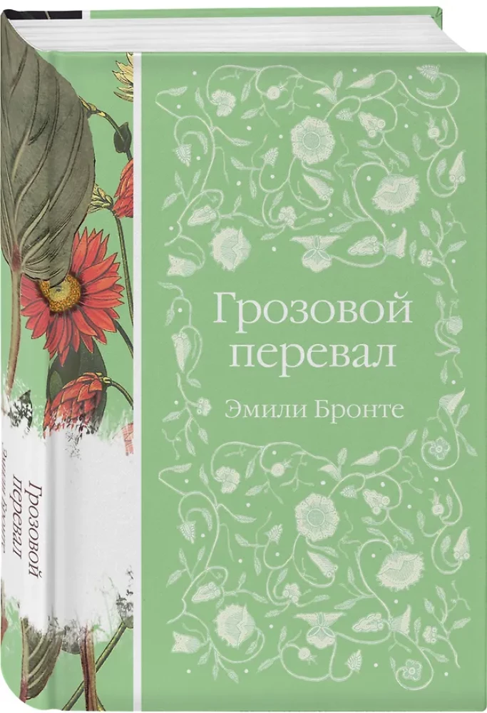 Negaisa pāreja