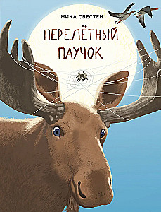 The Migratory Spider