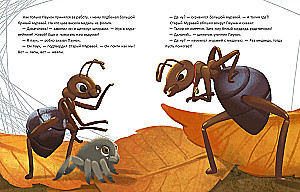 The Migratory Spider
