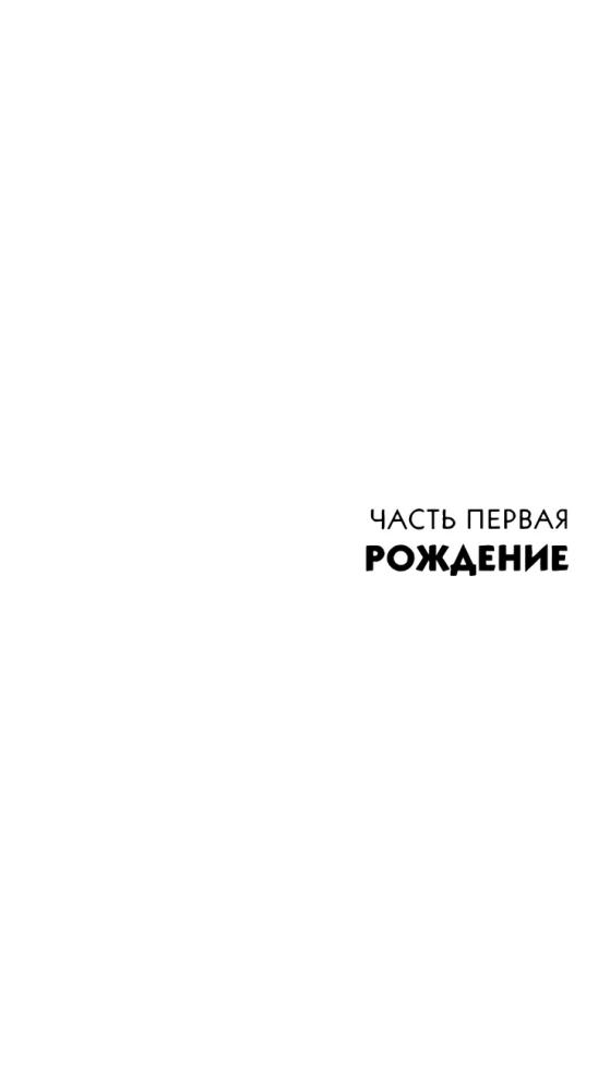 Bracia Ashkenazi