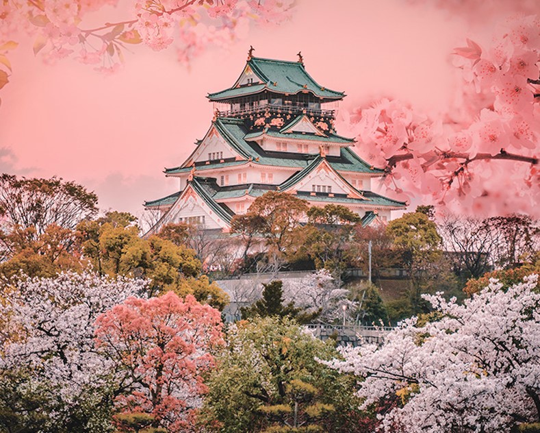 Diamond Mosaic - Japanese Landscape, 40x50 cm