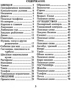Rosyjsko-szwedzki rozmównik