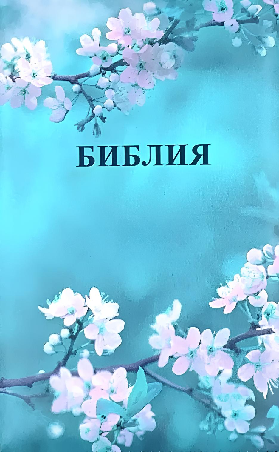 Biblia kanoniczna