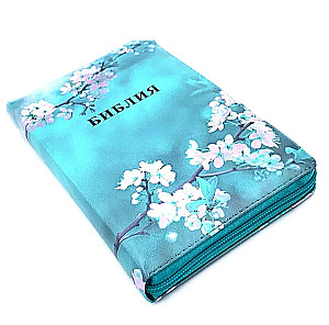 Kanoniška Biblija