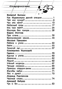 Pārdarbības lasīšana. 2. klase
