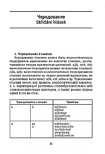 Gramatyka czeska w tabelach i schematach