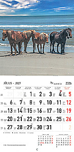 Sienas kalendārs 2026. gadam - Zirgus, A5