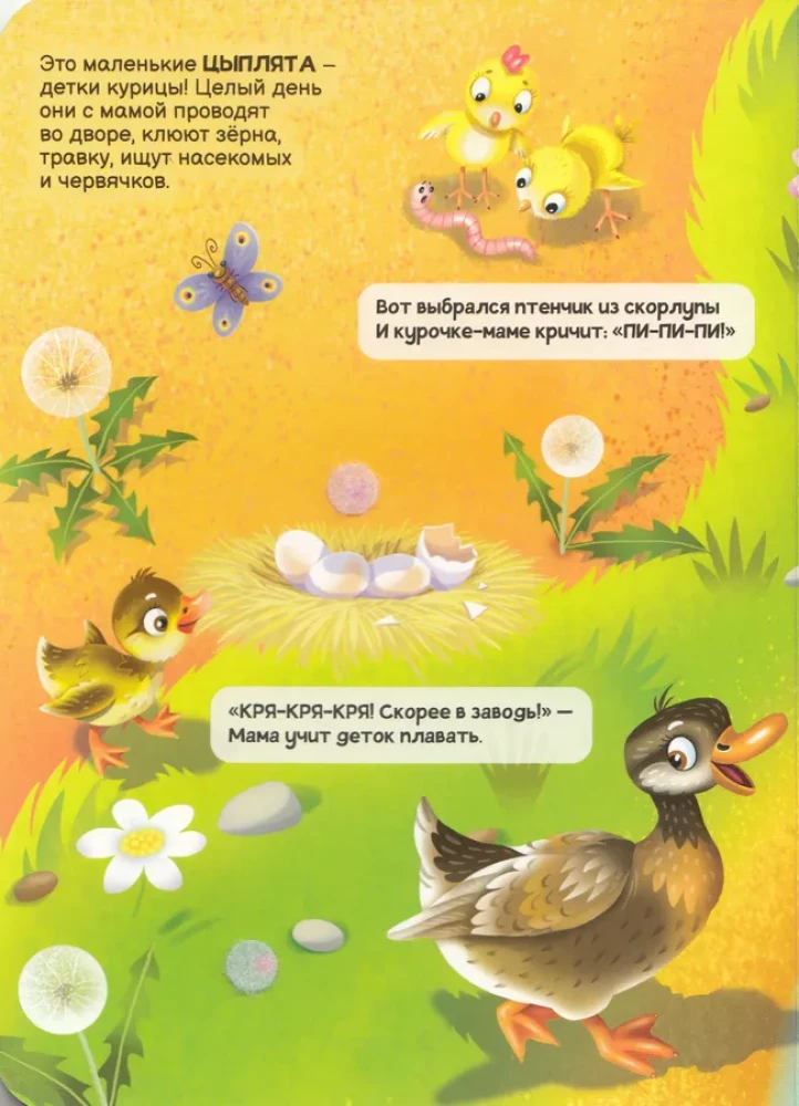 Липучки. Домашние животные