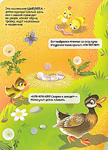 Липучки. Домашние животные