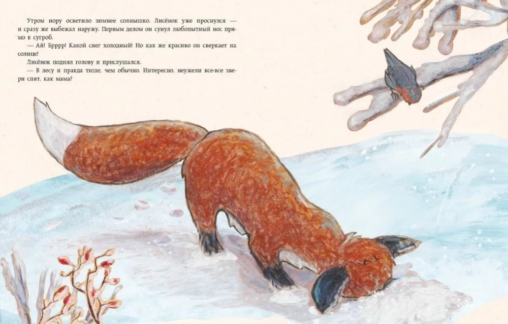 Затишье в лесу