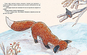 Затишье в лесу