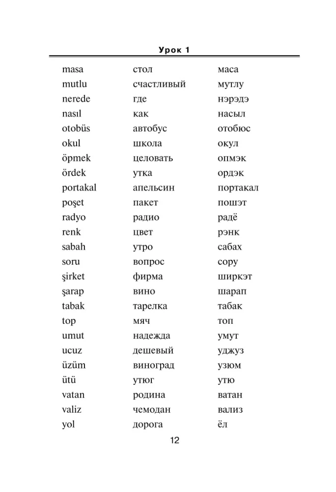 Türgi keel. Uus iseseisev õppematerjal