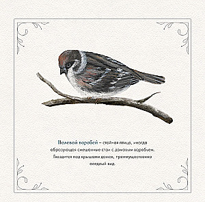 Wall Calendar for 2026 - The Year of Simple Wonders. 12 Months of Inspiration for Bird Lovers