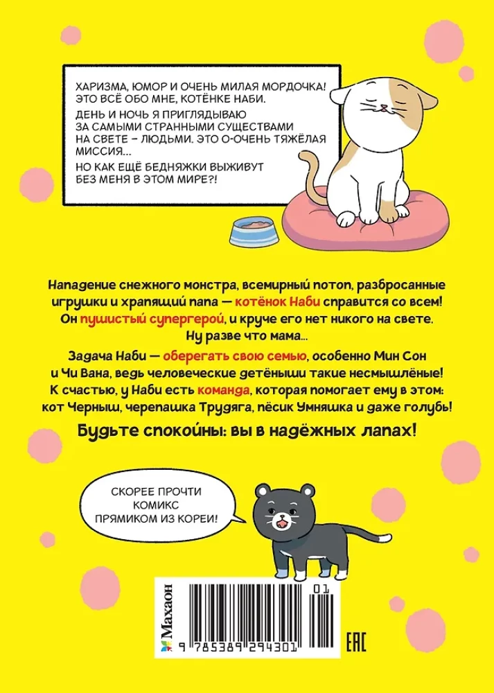 Kotek Nabi. Myśl jak kot!