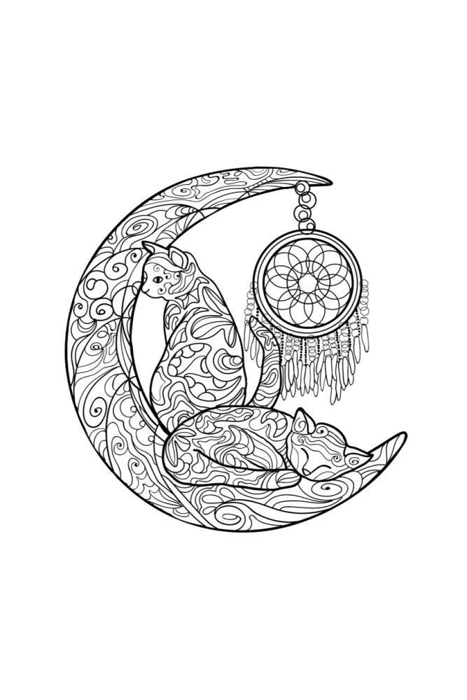 Котики в волшебном саду. Раскраска - антистресс