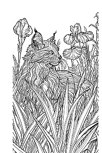 Котики в волшебном саду. Раскраска - антистресс