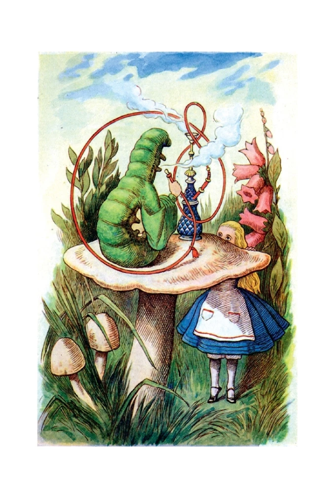 Alicja w Krainie Czarów. Alicja w Lustrze