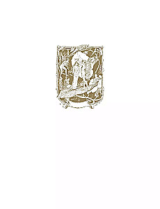 Лучшие сказки о феях, эльфах, гномах, троллях и других волшебных существах