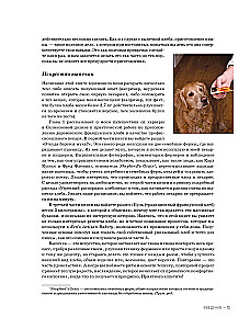 Milti, ūdens, sāls, raugs. Nepārspējama pica un amatniecības maize jūsu mājās