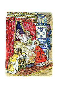 Konik garbusek