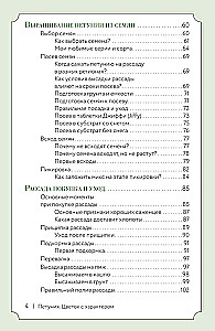 Petunija. Gėlė su charakteriu. Greitųjų patarimų sekiklis gėlių sodinimui