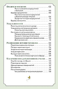 Petunija. Gėlė su charakteriu. Greitųjų patarimų sekiklis gėlių sodinimui