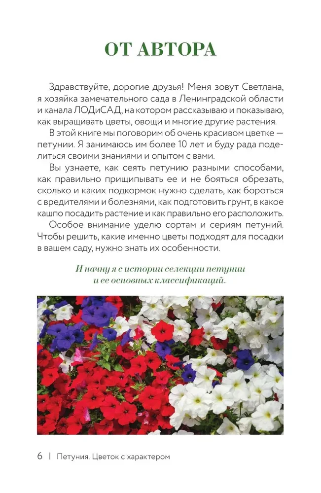 Petunija. Gėlė su charakteriu. Greitųjų patarimų sekiklis gėlių sodinimui