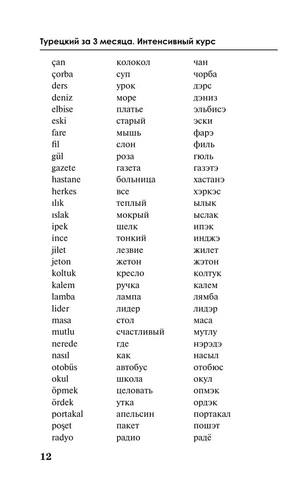 Türgi keel 3 kuuga. Intensiivkursus