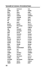 Türgi keel 3 kuuga. Intensiivkursus