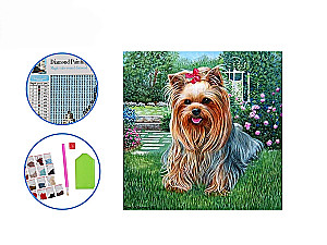 Mozaika diamentowa - York