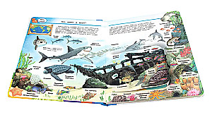 Co? Dlaczego? Po co? Świat morskich zwierząt