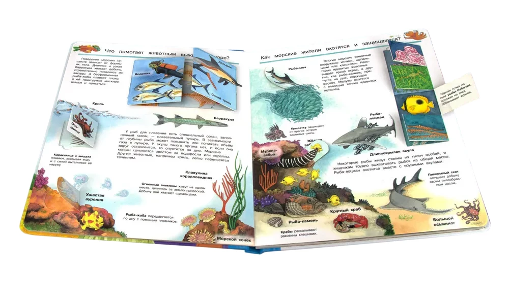 Co? Dlaczego? Po co? Świat morskich zwierząt