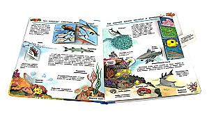 Co? Dlaczego? Po co? Świat morskich zwierząt