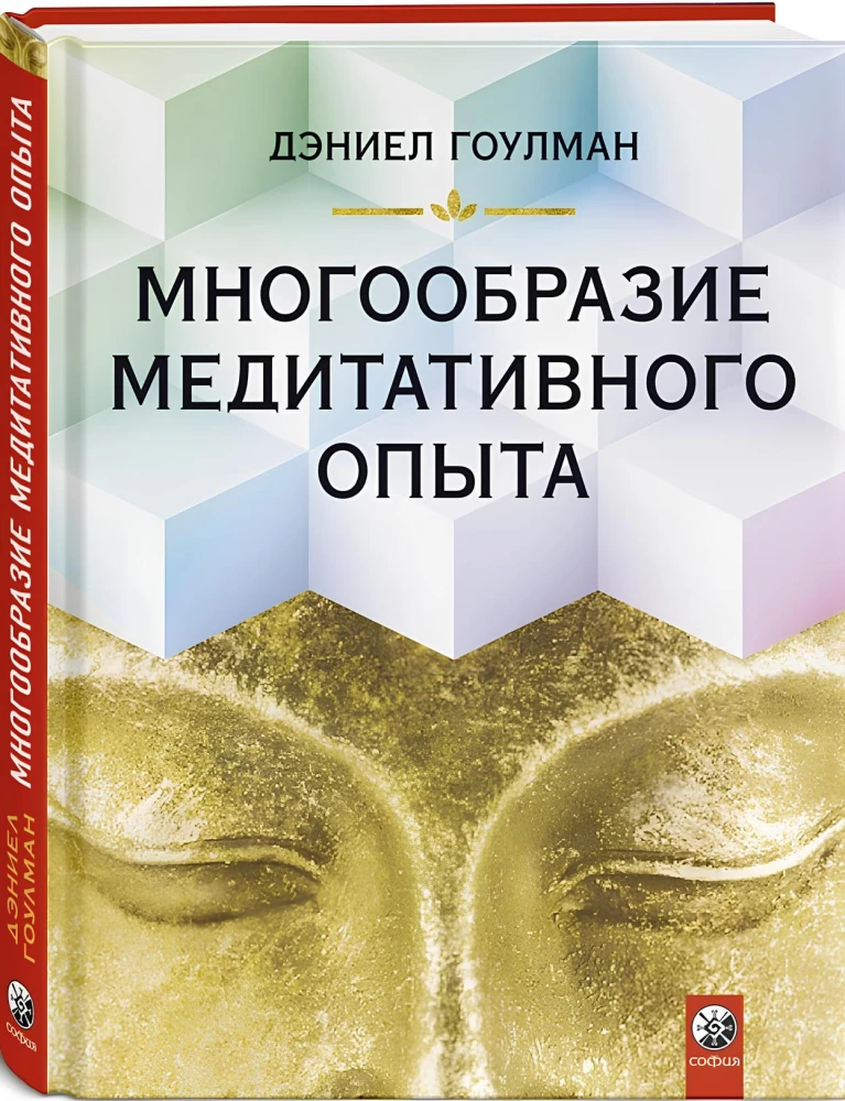 The Diversity of Meditative Experience