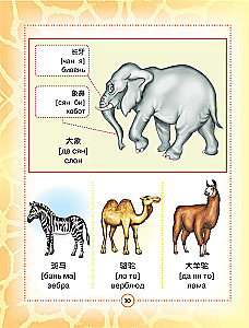 Ķīniešu-krievu vizuālais vārdnīca bērniem