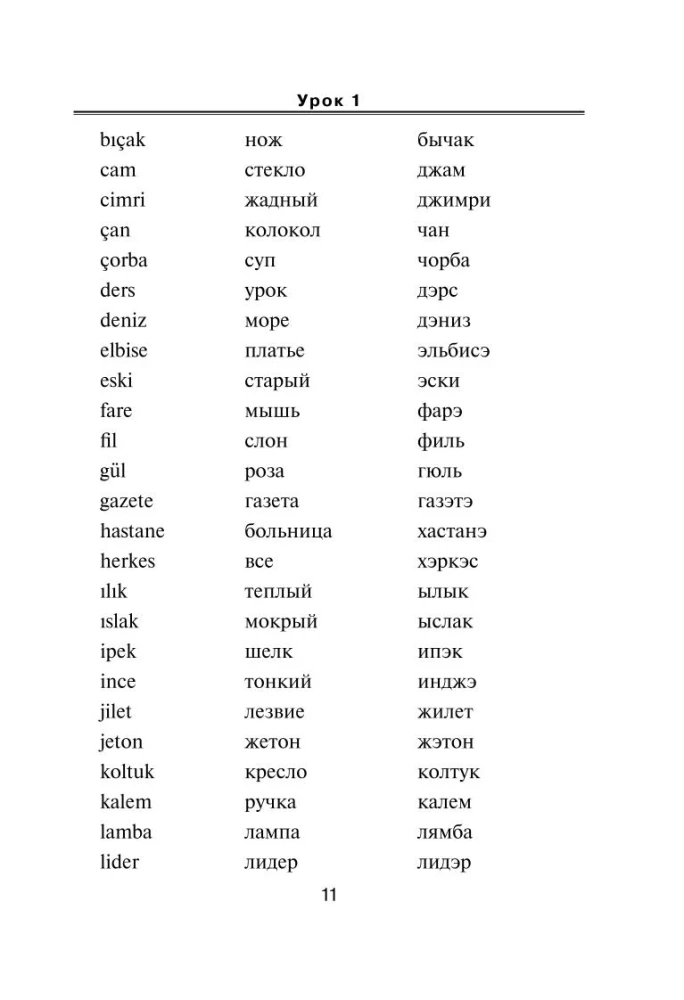 Türgi keel. Uus enesekehtestamise õpik