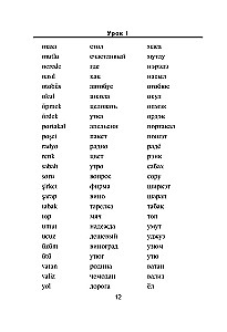 Türgi keel. Uus enesekehtestamise õpik