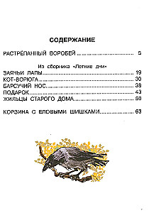 Basket with Spruce Cones