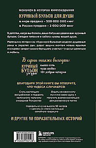 Куриный бульон для души. Дух Рождества. 101 история о самом чудесном времени в году