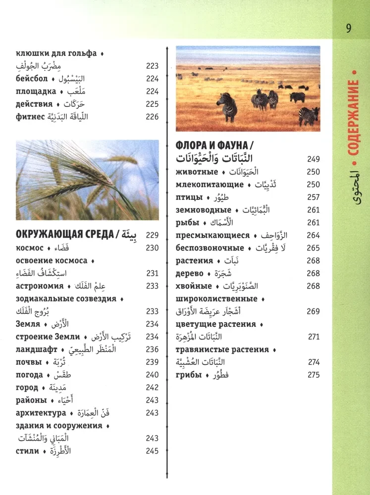 Арабско-русский визуальный словарь с транскрипцией