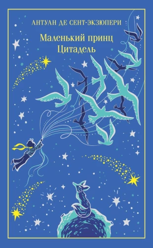 The Little Prince. Citadel