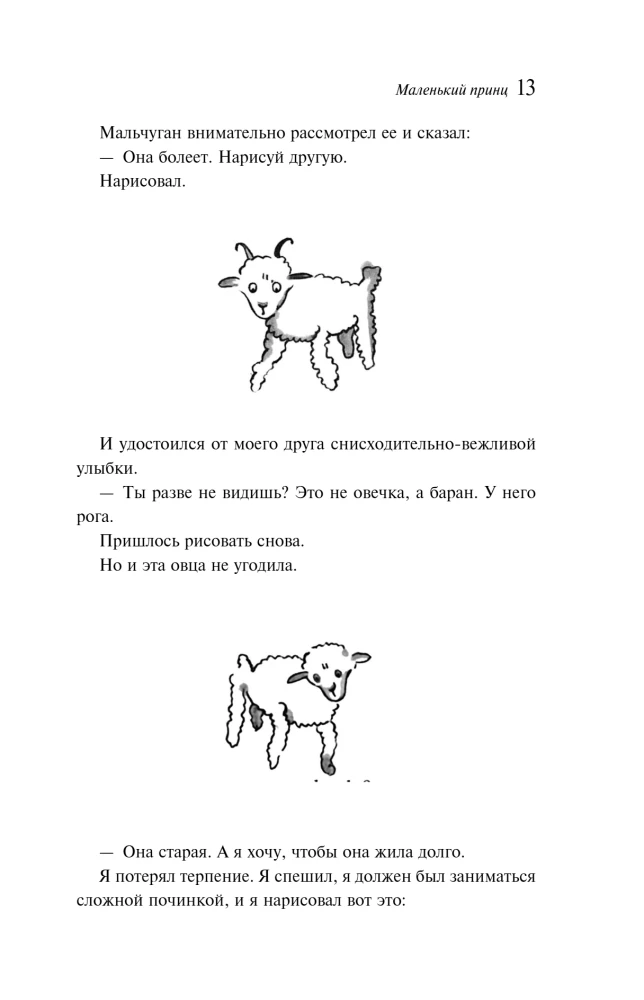 Mały Książę. Cytadela