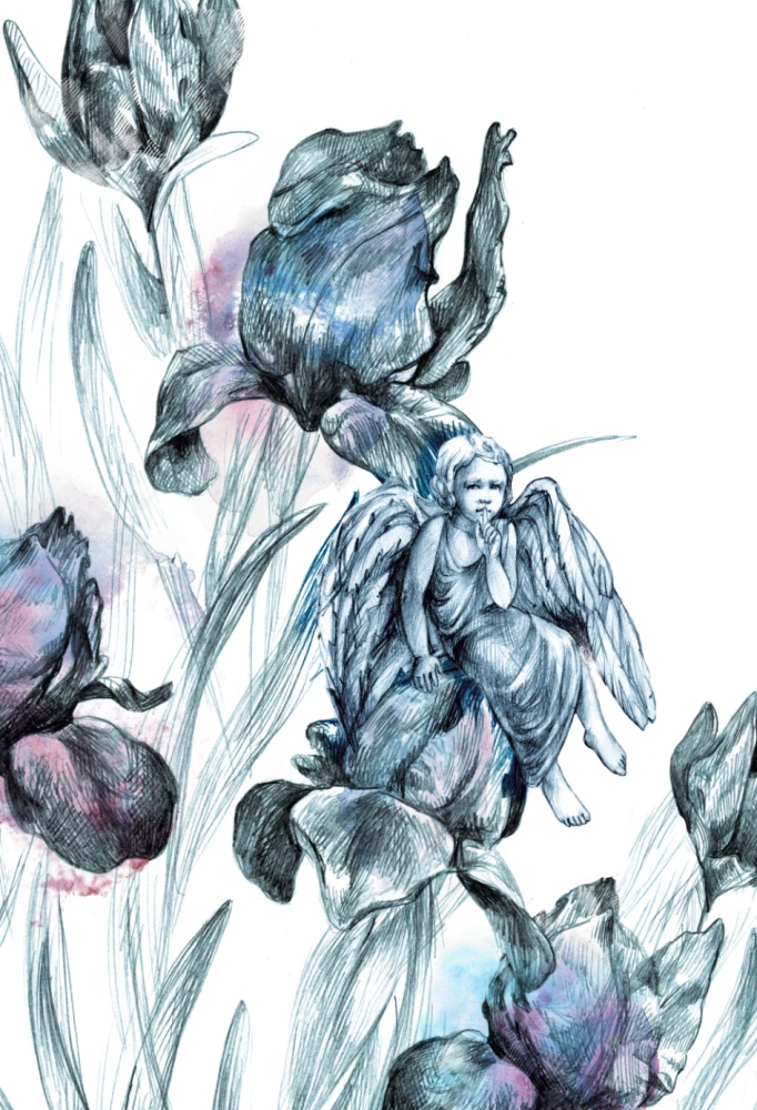 R.I.P. Всемирная история кладбищ глазами художника