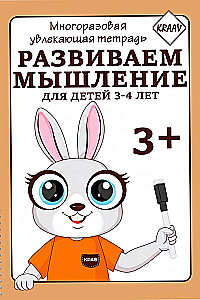 Reusable Engaging Notebook. Developing Thinking