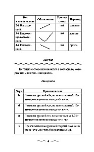 Chińska gramatyka bez korepetytora. Wszystkie trudności w prostych schematach