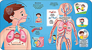 Grāmatas ar logiem. Cilvēka ķermenis