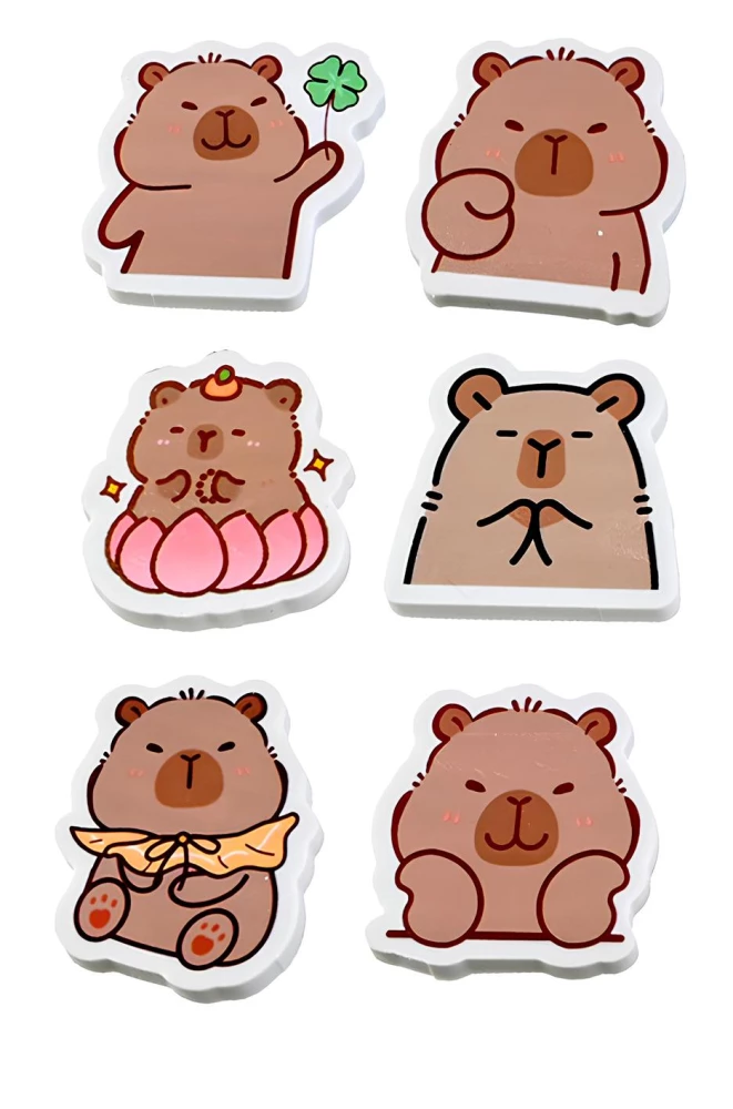 Gumka - Kapibara, w asortymencie