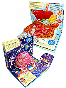 POP UP encyklopedia. Anatomia: książka panoramiczna