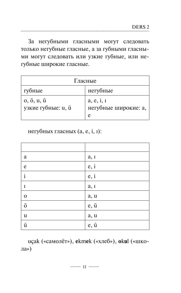 Türgi keel ilma eratundjata. Türgi keele enesetäiendamise juhend